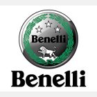 Benelli-Logo_resize