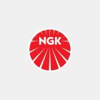 ngk_resize